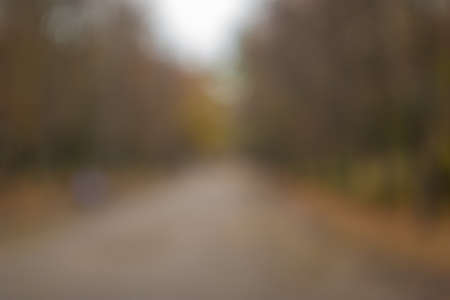 Autumn blurred bokeh background. Defocused park or forest landscape on a cloudy day bokeh abstract background. Template mock-up for for your design.の写真素材