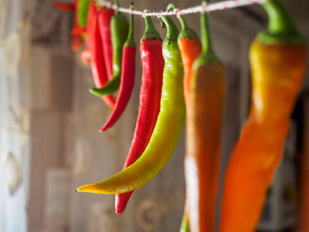 Red and green chilli peppers hanging on a rope. Peppers photographed with soft, selective focus