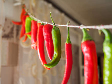 Red and green chilli peppers hanging on a rope. Peppers photographed with soft, selective focusの写真素材