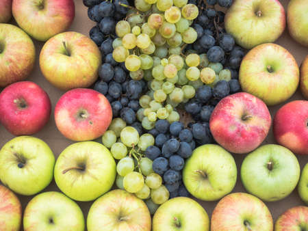 Background of fresh colourful fruits. Frame composition of fruits on market stall. Colourful fruits pattern close up. Green and red apples, white and purple grapes close up.の写真素材
