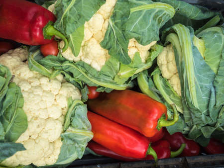 Background of the assorted raw organic vegetables close up. Composition with red peppers and cauliflower.の写真素材