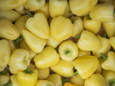 Background of a stacked yellow peppers. Yellow peppers pattern close up.の写真素材