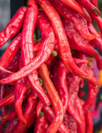 Background of the red chili peppers closeup viewの写真素材