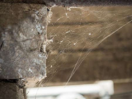 Picture of the spider web in the corner of the room close up. Close up on the spider web against the...