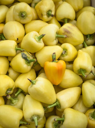Background of a stacked yellow peppers. Yellow peppers pattern close up.の写真素材