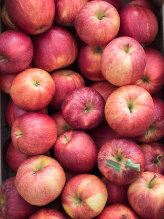 Background of red apples close up. Red apples pattern on sale at the market.の写真素材