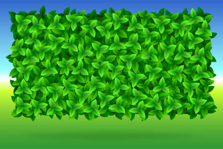 Summer, bright background of green leaves, vector image resizable. Green leaves texture.のイラスト素材