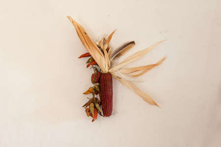 Rural still life, the cob dried red corn with a bundle of red pepper and chicken feather hanging on...