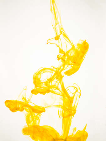 Ink swirl in a water on white background. The paint splash in the water. Soft dissemination a...