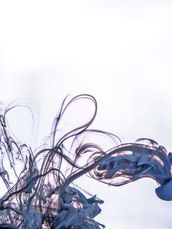 Ink swirl in a water on white background. The paint in the water. Soft dissemination a droplets of colored ink in water close-up. Explosion of color splashes acrylic ink.の写真素材