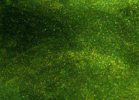 Colored drops stains and blots swim in the water. Grainy abstract colorful texture isolated on black...