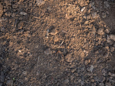 Close-up dry humus. Cultivated soil, dirt ground, brown land background. Organic agriculture, gardening. Environmental texture, pattern. Mud on field close-up.の写真素材