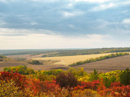 Colorful autumn landscape with views of the skyline and plowed field. Nature, rural autumnal view of...