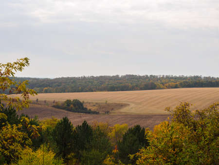 Colorful autumn landscape with views of the dramatic sky and fields. Nature, rural view of pretty farmland and plants in the beautiful surroundings. Soft focus, blured backdropの写真素材