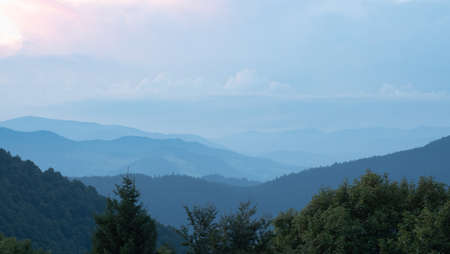 Shank of the evening in Carpathians mountains at summer, west Ukraine. Ukrainian nature panoramic...