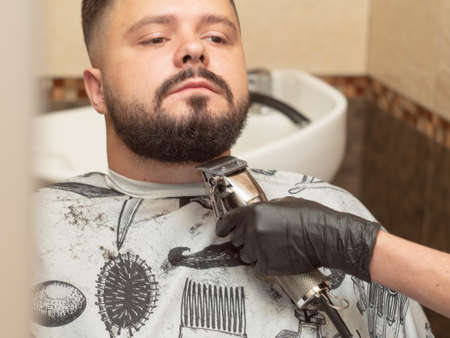 Males beaver cutting with clipper, close up view. Stylists hand in black rubber glove. Male in...