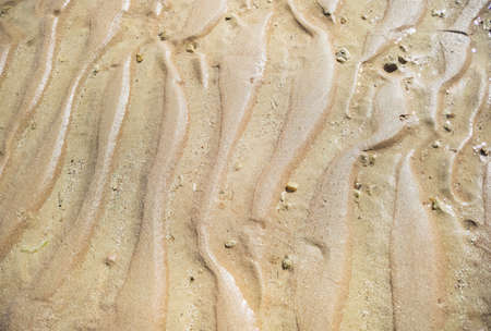 Yellow sand texture, close up view. Abstract pattern on sand. Egyptian beach in February, an...