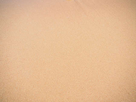 Texture of yellow sand, close up view. Abstract yellow background. Egyptian beach in february