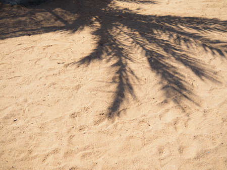 Shadow of palm tree on brown sand, close up view. Abstract background. Egyptian beach in february, Red Sea. Selective soft focus. Blurred backgroundの写真素材