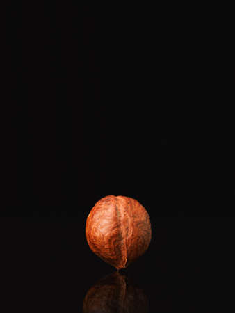 Hazelnut on black background. Low key style. Nut stands upright create a reflectionの写真素材