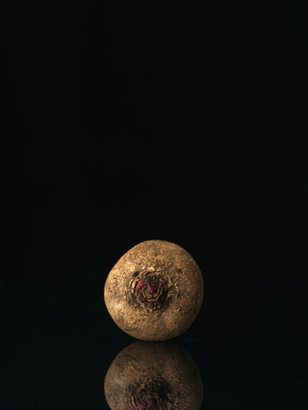 Front view to raw beetroot on black background with reflection. Macro shoot. Low key photographic technique. Raw vegetablesの写真素材