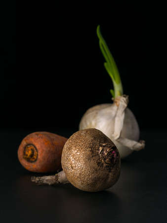 Onion with green shoots, carrot and beetroot. Close-up view. Raw vegetables on black background. Low key technique. Raw vegetablesの写真素材