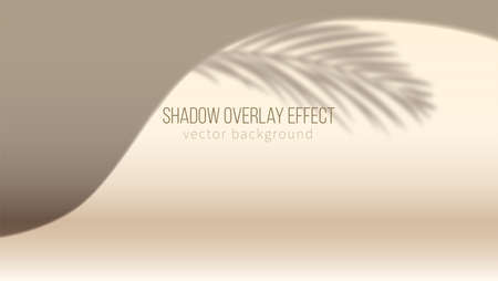 Stage for product display. Spot of light and shadow of palm leaf on wall. Shadow overlay effect. Vector 3d illustration.のイラスト素材