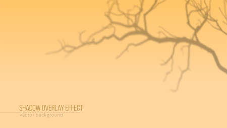 Shadow of tree branches on orange background. Shadow overlay effect. Vector background for branding or presentation of products.のイラスト素材