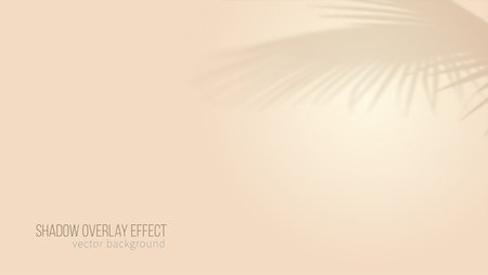 Background design for product presentation. Beige color. Shadow of palm leafs. Template for presentation or poster. Vector illustrationのイラスト素材