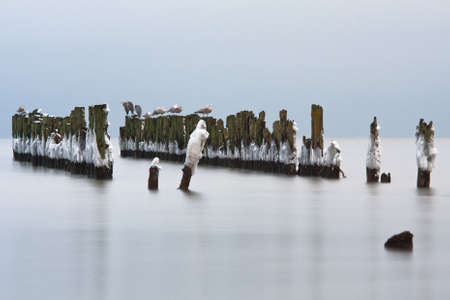 Pit stopの写真素材