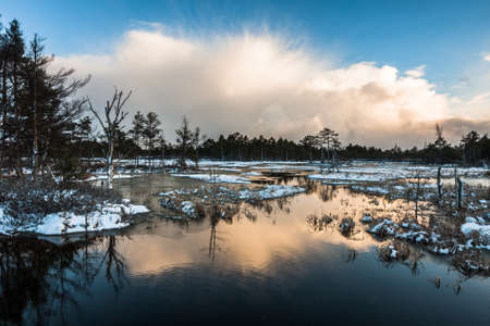 cloudy swamp