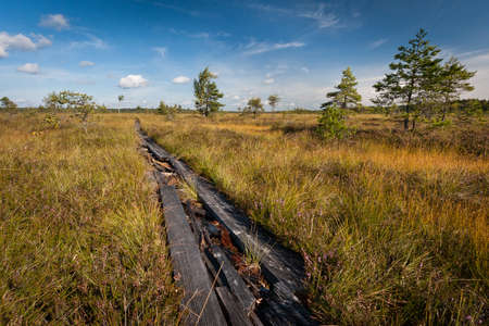 marsh landscape with cloudsの写真素材