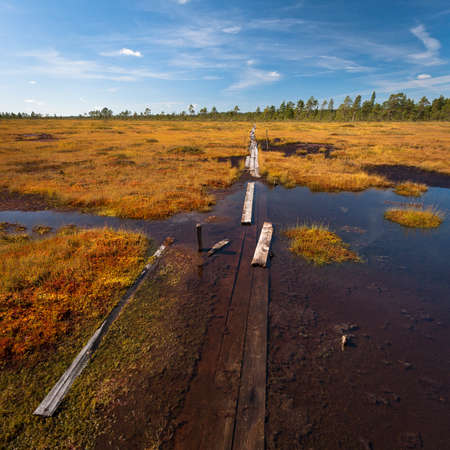 marsh landscape with clouds and footbridgeの写真素材