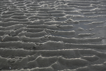 Sand waves on the seabedの写真素材