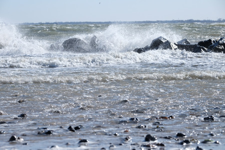Surf in the seaの写真素材