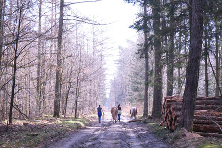 Hiking with horsesの写真素材