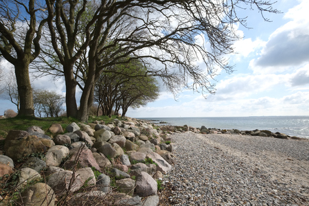 Coastal protection on the Baltic Seaの写真素材