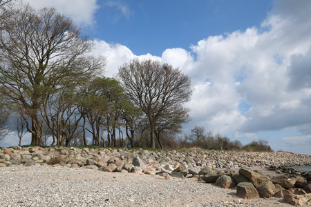 Stony shore on the Baltic Sea -Stony shore at the Baltic Seaの写真素材