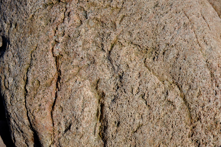 A boulder on the beachの写真素材