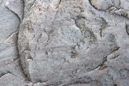 Surface texture of a rockの写真素材