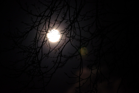 Afraid of the full moonの写真素材
