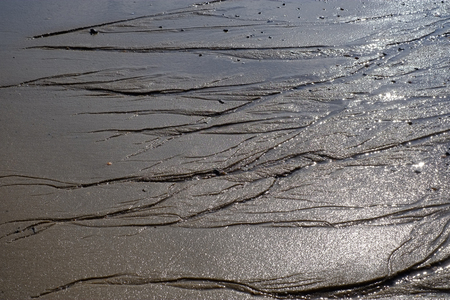Sandy soil off the coast