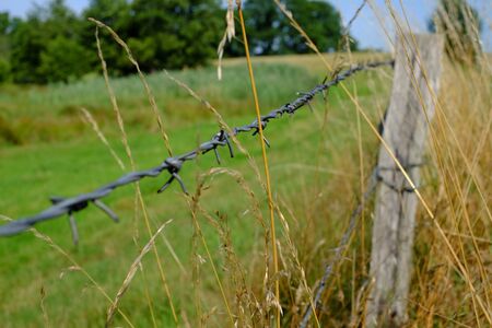 Pasture fence with barbed wireの写真素材