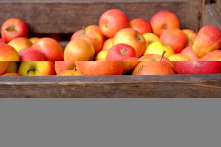 Organic apples in wooden boxes at the weekly marketの写真素材