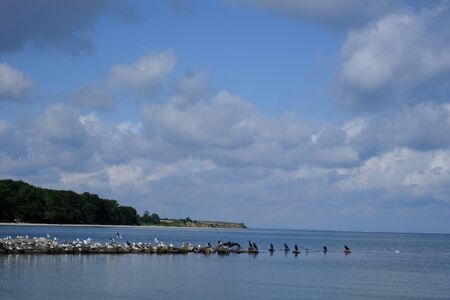 Shore region on the Baltic Seaの写真素材