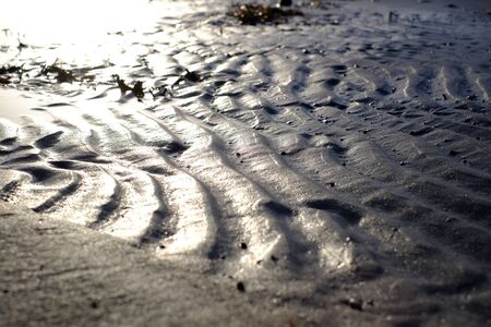 The seabed is exposed at low tide