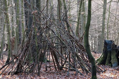 Hut made up of dry branches