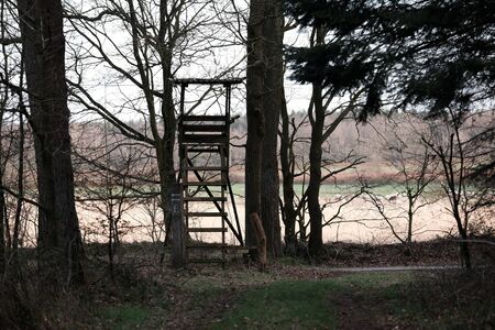 A high seat stands on the edge of the forest at duskの写真素材