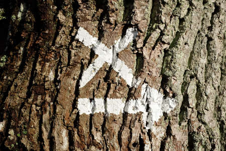 Reference to the course of the European long-distance hiking trailの写真素材