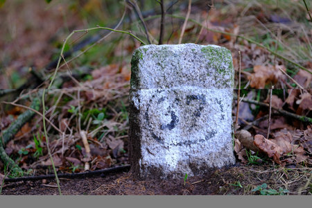 Old boundary stone marks the boundary at a forestの写真素材